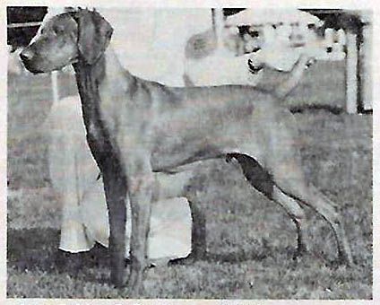Kamet Kody