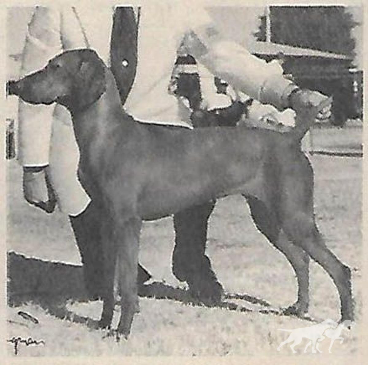 Princess Remeny Of Piroska