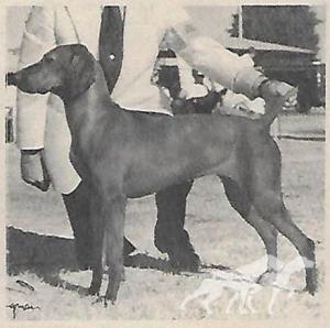 Princess Remeny Of Piroska
