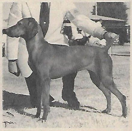 Princess Remeny Of Piroska