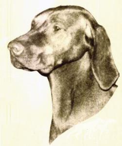 Pyburn's Rusty