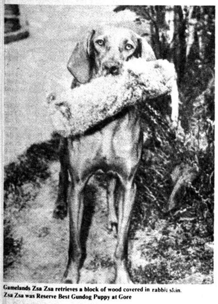 Gamelands Zsa Zsa