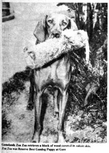 Gamelands Zsa Zsa