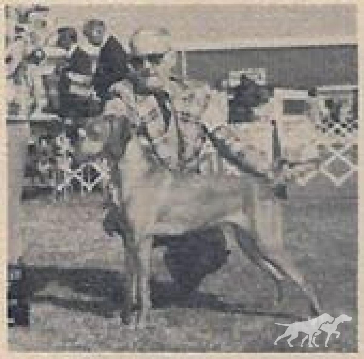 Stelmar Tina v Tolgyes