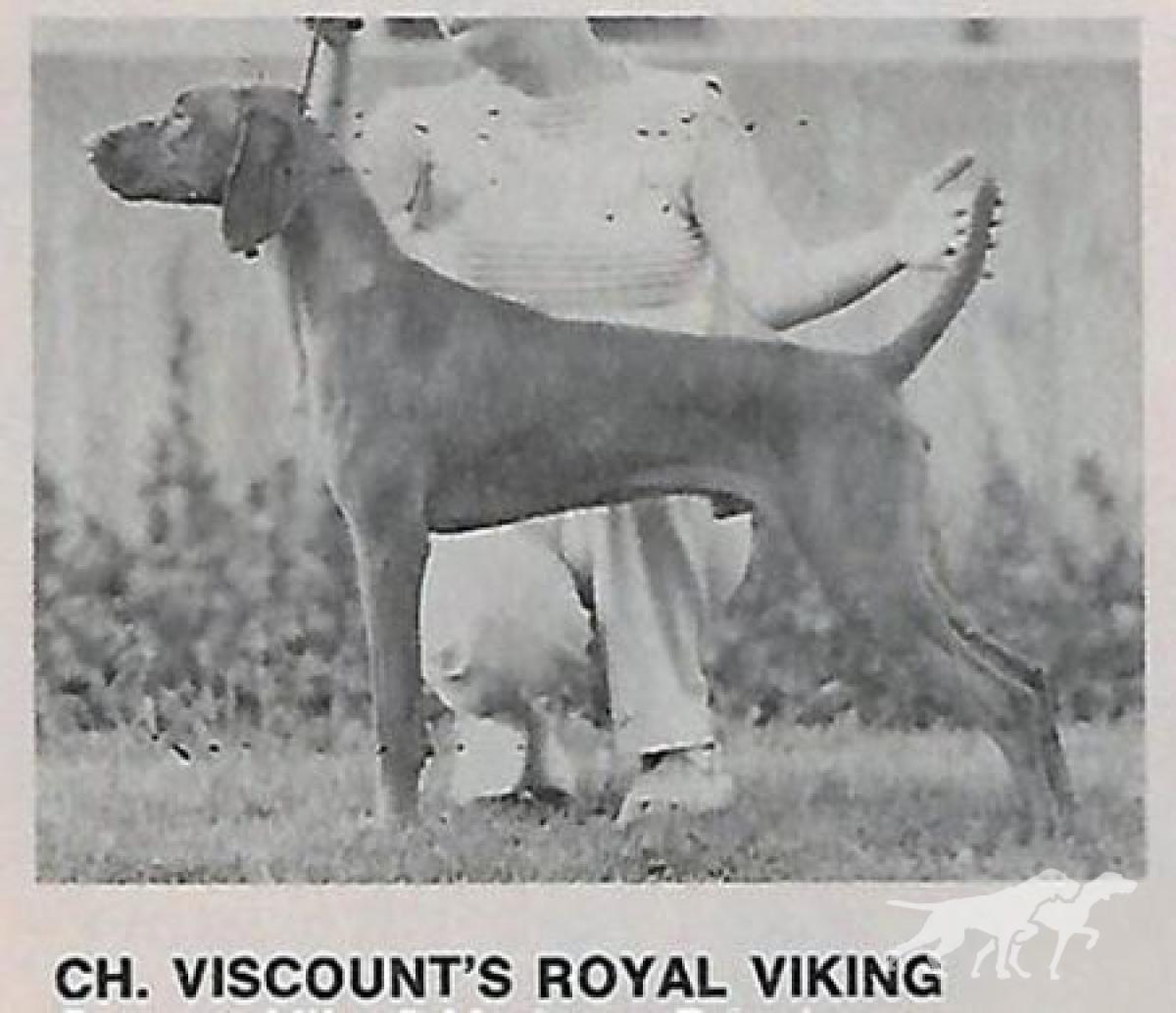 Viscount's Royal Viking