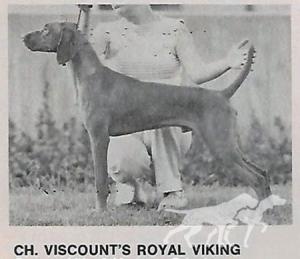 Viscount's Royal Viking