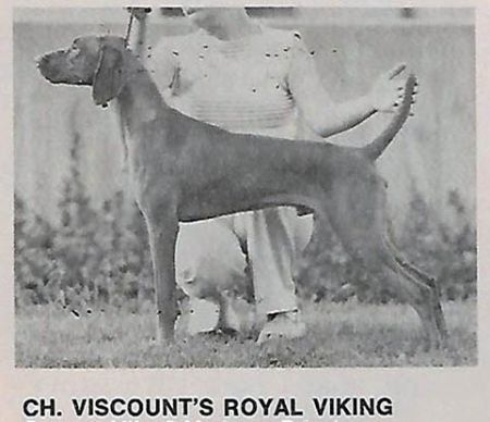 Viscount's Royal Viking