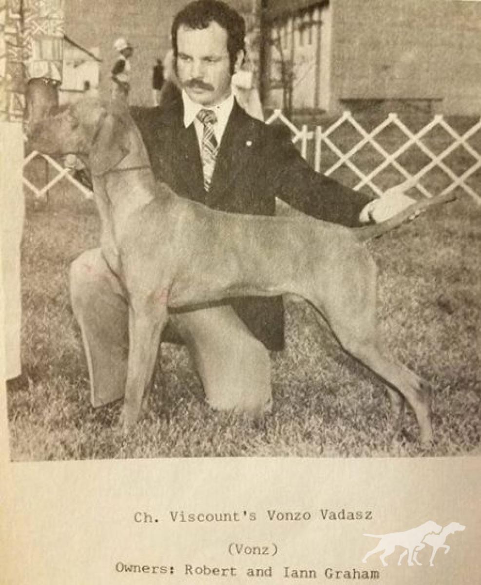 Viscount's Vonzo Vadasz
