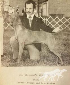 Viscount's Vonzo Vadasz