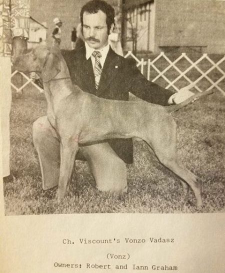 Viscount's Vonzo Vadasz