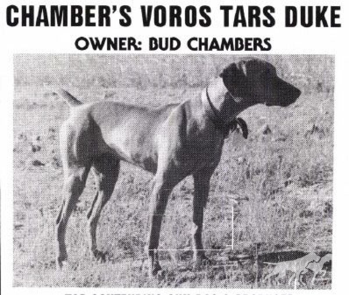 Chambers Voros Tars Duke