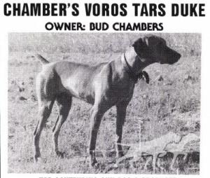 Chambers Voros Tars Duke