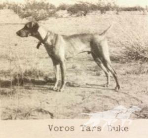 Chambers Voros Tars Duke