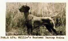 Willie's Bushwak Barney Mcgee