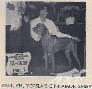 Yorsla's Cinnamon Sassy