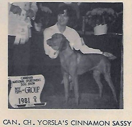 Yorsla's Cinnamon Sassy