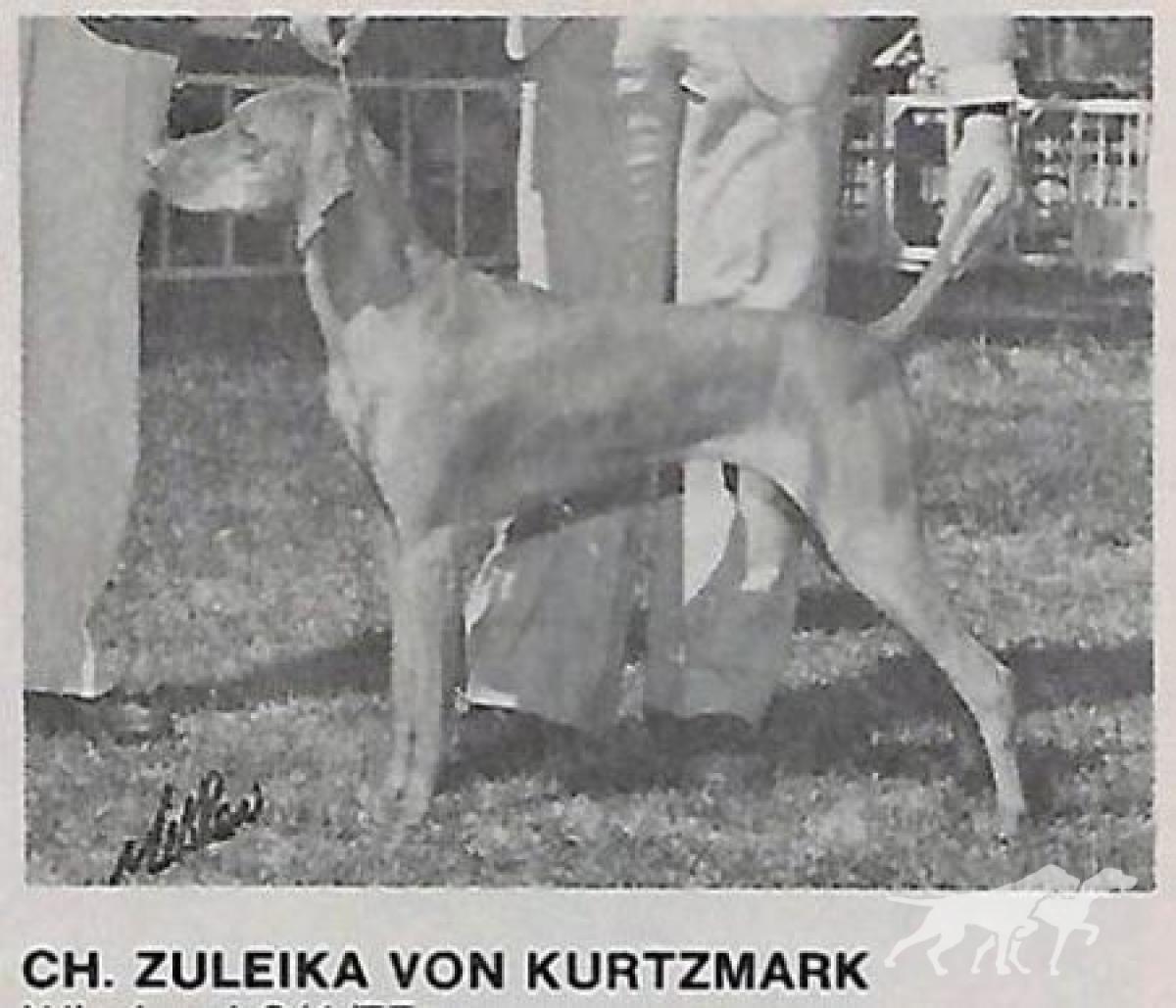 Zuleika von Kurtzmark