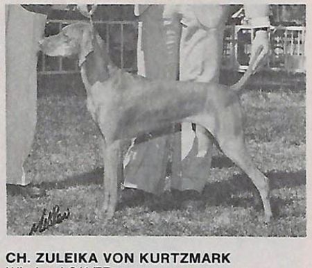 Zuleika von Kurtzmark