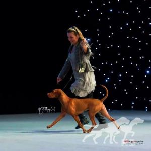 Andzar Success