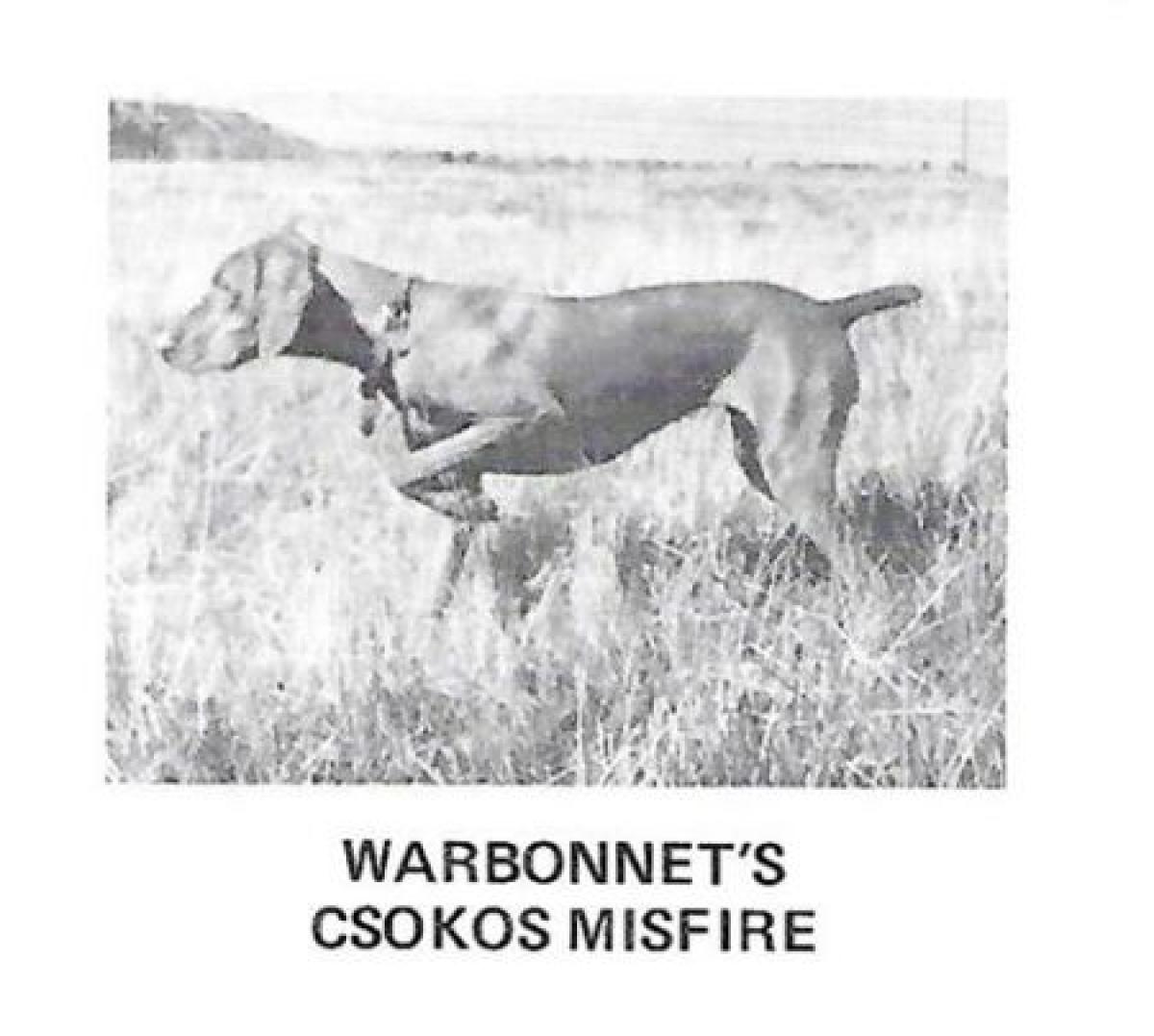 Warbonnet's Csokos Misfire