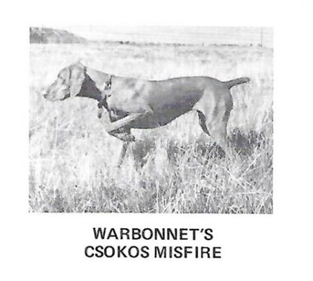 Warbonnet's Csokos Misfire
