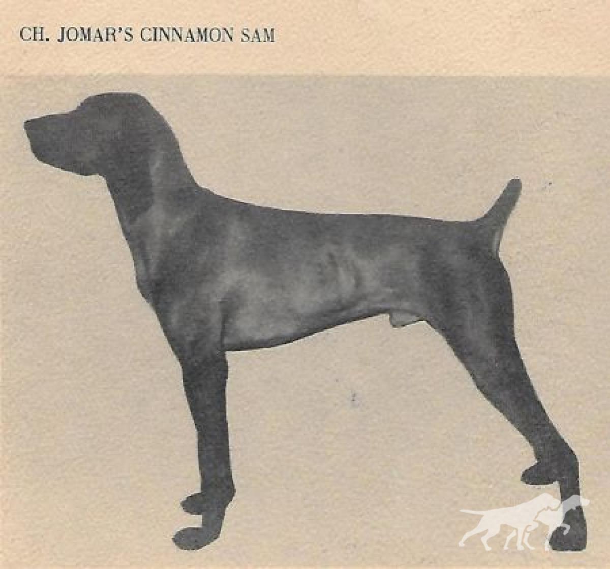 Jomar's Cinnamon Sam
