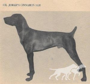 Jomar's Cinnamon Sam