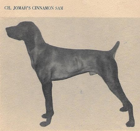 Jomar's Cinnamon Sam