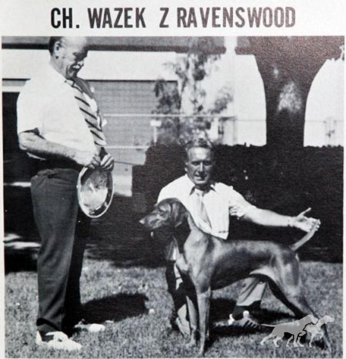 Wazek z Ravenswood