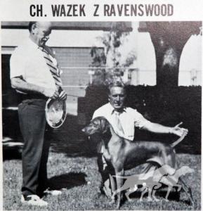 Wazek z Ravenswood