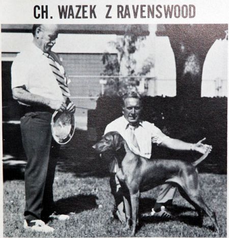 Wazek z Ravenswood
