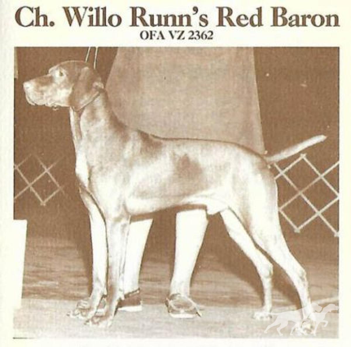 Willo Runn's Red Baron
