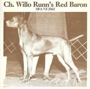 Willo Runn's Red Baron