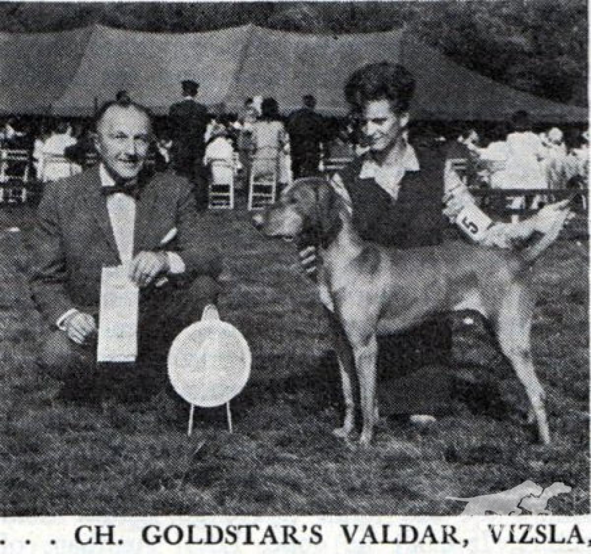 Gold Star's Valdar
