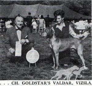 Gold Star's Valdar