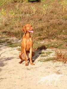 Gretel