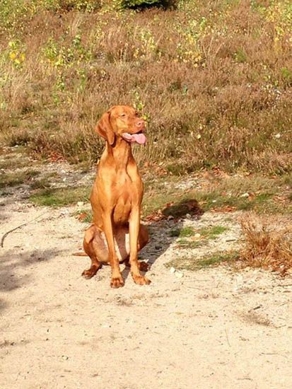 Gretel