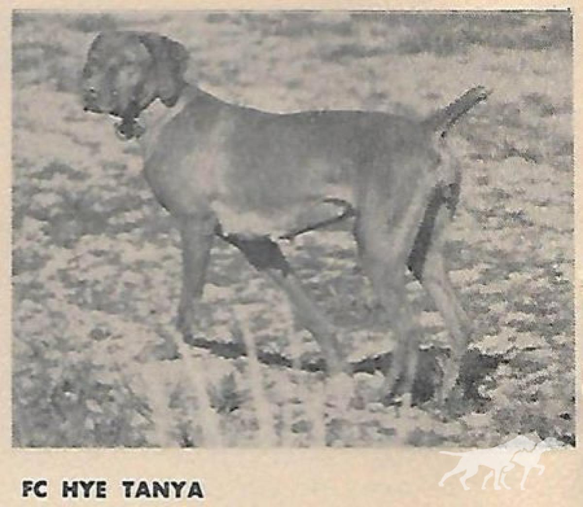 Hye Tanya