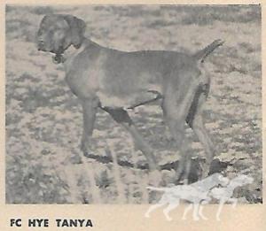 Hye Tanya