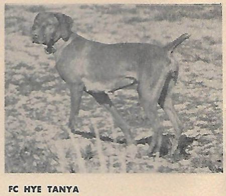 Hye Tanya