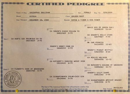 Sassafras Sullivan