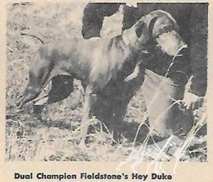Fieldstone's Hey Duke