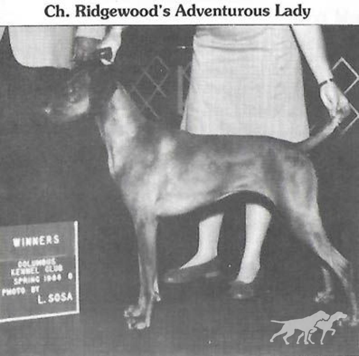 Ridgewood's Adventurous Lady