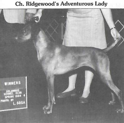 Ridgewood's Adventurous Lady
