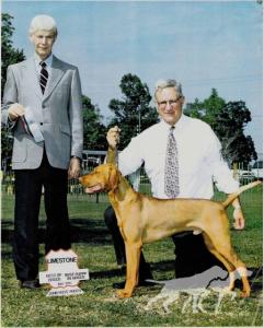 Ferngold Auburn Quincy