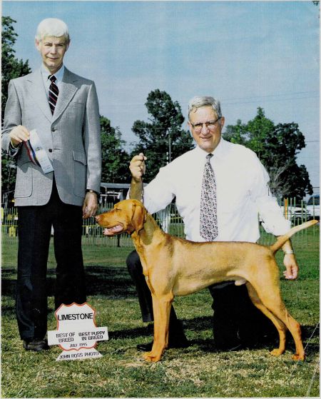 Ferngold Auburn Quincy