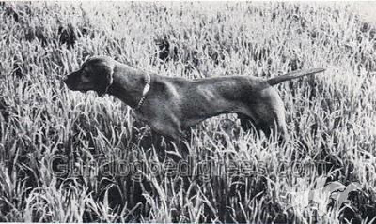 Monksway Ako