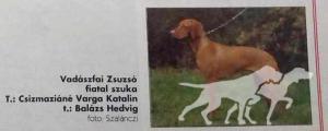 Vadászfai Zsuzsó