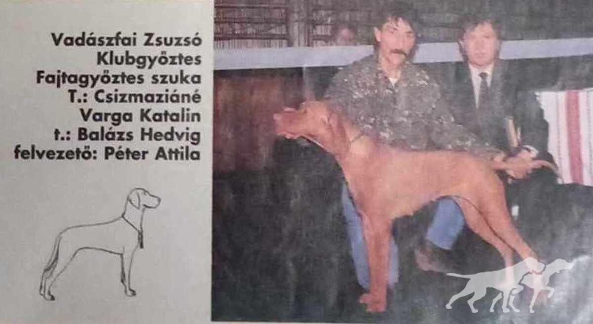 Vadászfai Zsuzsó