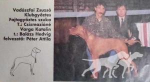 Vadászfai Zsuzsó